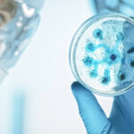 Person looking at a culture media