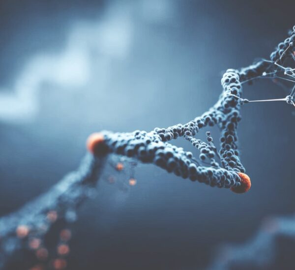 Biomoleculas
