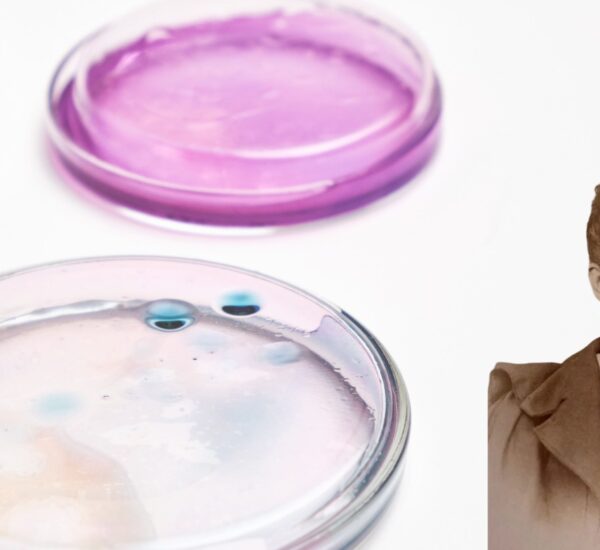 fanny hesse culture media