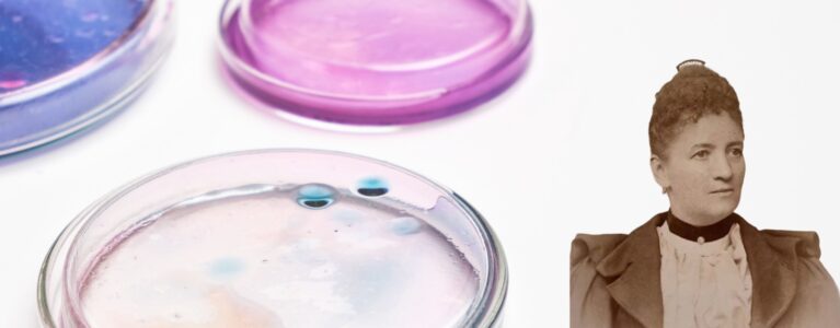 fanny hesse culture media