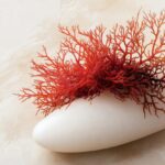 seaweed sustainability