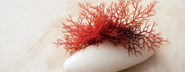 seaweed sustainability