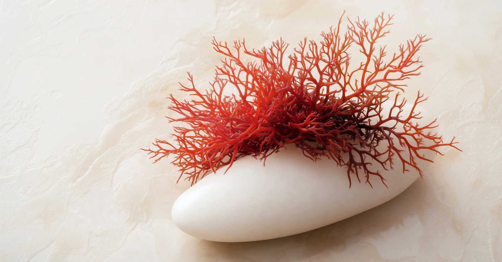 seaweed sustainability