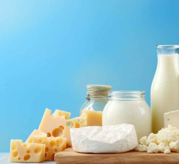 vegan dairy